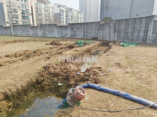 41c06346b23c8aaeb98527ae6dd50cf3