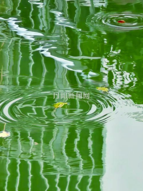 45d173bdce94041135ecd9a80c326b1f