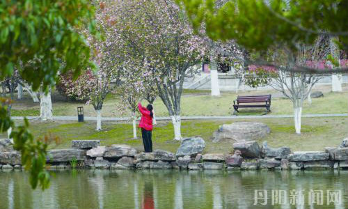 让美景留枝头，让文明驻心间