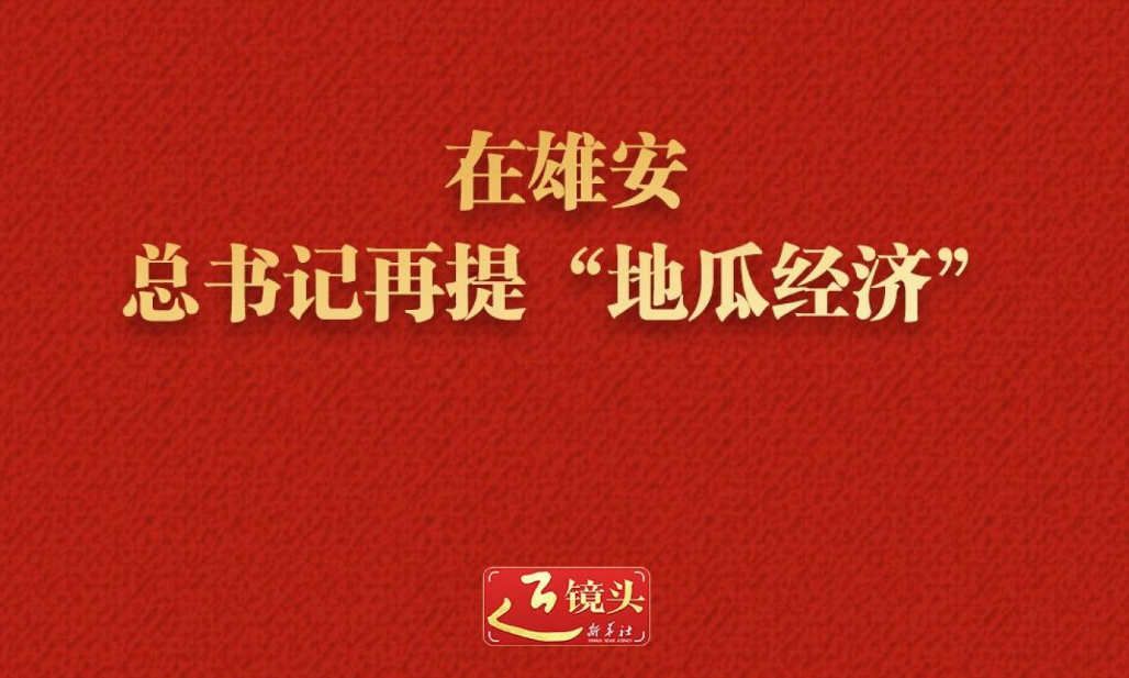 近镜头｜在雄安，总书记再提“地瓜经济”
