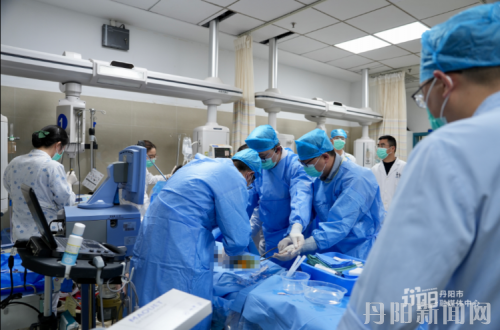 20263291774774819665_1034