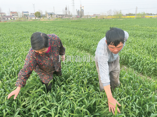 b13721eae38670cd6741934b361084e2