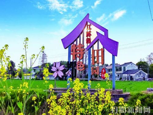 2a15a7537c10389159b388607872d929