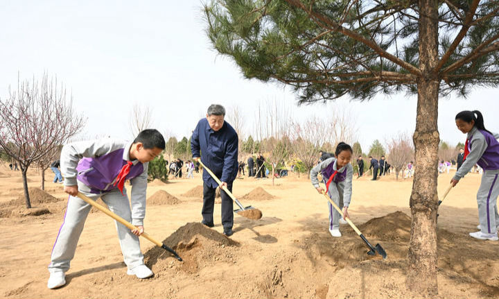 习近平在参加首都义务植树活动时强调 为山川大地增添锦绣 让中国式现代化底色更加亮丽