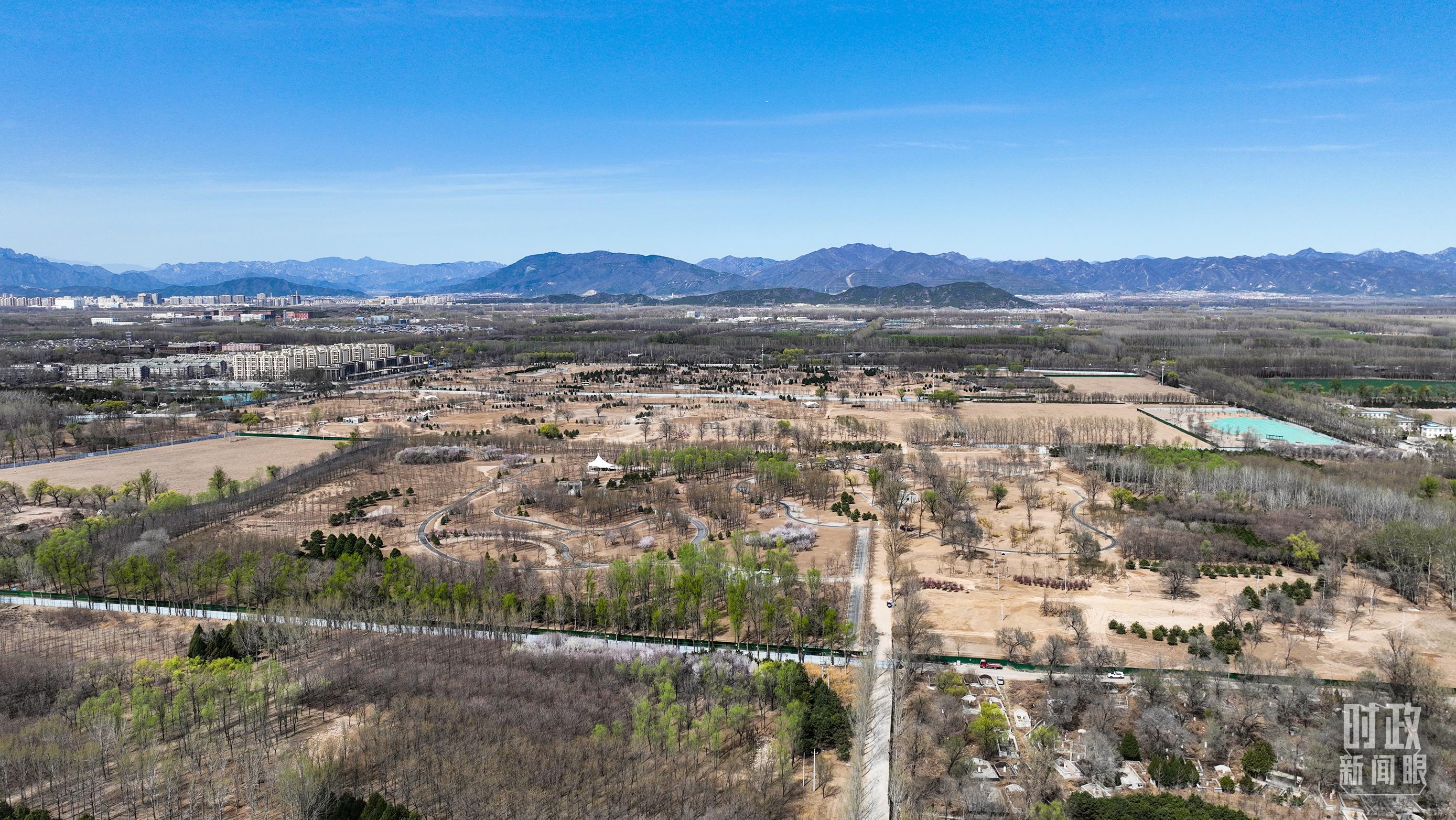 时政新闻眼丨在首都义务植树活动现场，习近平强调这件利国利民的大事