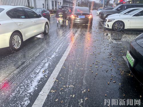 滨河路雨后现“泡沫大道” 原是无患子果实闹“乌龙”