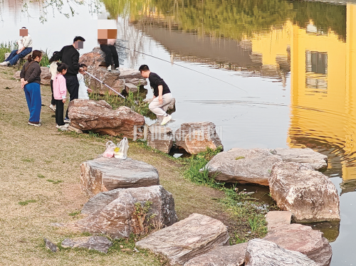 9a23f091d9161233d6a019f043083aed