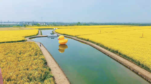 976e705e1d6e6d5b9a94ef9d6a14e5bd