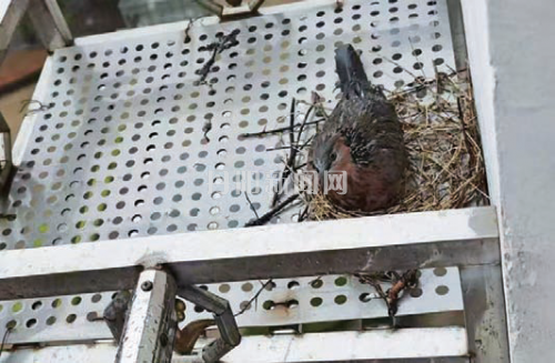 f80be30fa4f6b7629adbcf9fcc84834d