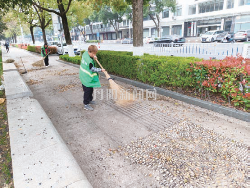 行道树“下黑雨”？其实是香樟在“换装”