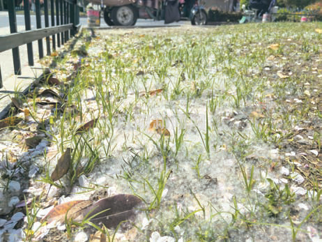 ab5b2803842ff5256865aef0a0850c52