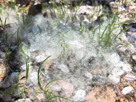 b02802be724a84d43ce76aa89f29b996