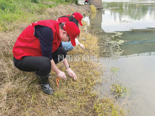党旗飘扬在一线 查螺实践砺初心