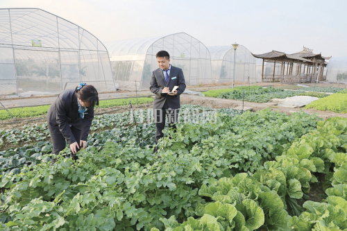 金融守望者 惠农春天里