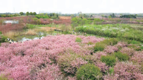 9feaae2858544d0c90f19f26a3d15e3c