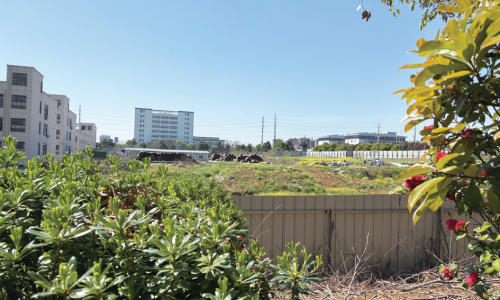 全款购买预售房 八年过去仍是荒地