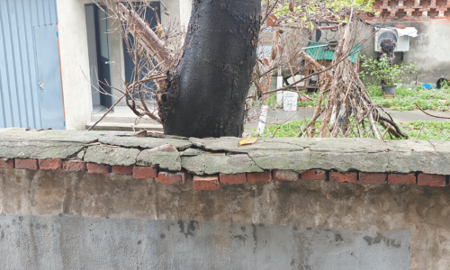 9a84ace55f65e4948154f9c7389d834a