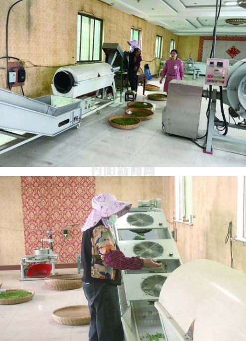 微信图片_2026-04-13_104830_244