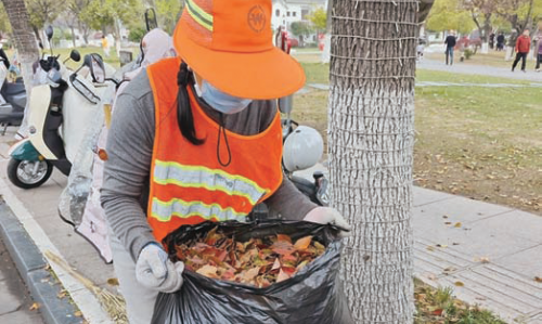 春风过樟叶落 环卫工人清扫忙