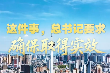 壹视界·时习新语｜这件事，总书记要求确保取得实效