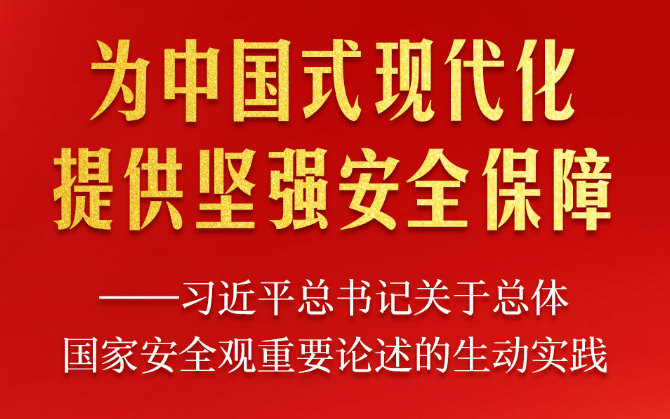 习近平总书记关于总体国家安全观重要论述的生动实践