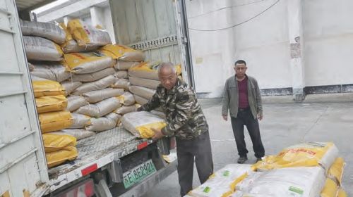 全市水稻备种工作有序推进