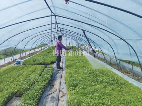 8dc74351a26f82bae719fd2329f05651