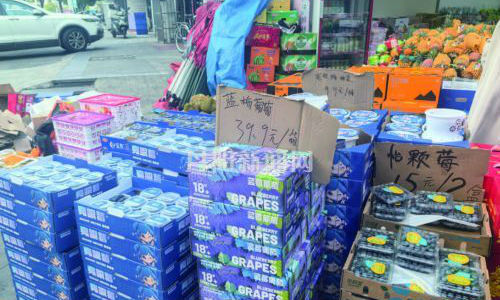 蓝莓价格大幅下降 市民尽享“蓝莓自由”