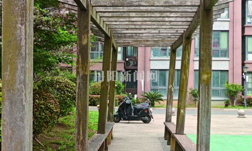 小区休闲长廊倾斜腐朽 安全隐患“悬顶”亟待解决