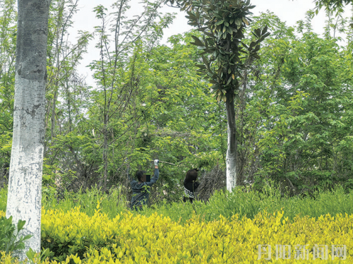 953764d3771275c6f21d5a27b72ce74e