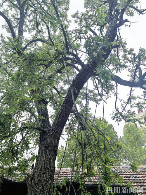 e8e2d1dc988d8d191ca583cf5fec61f9