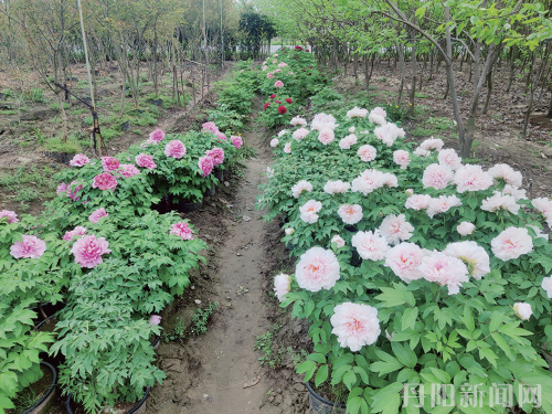 38a517976d393f3ff9acfb5bde549c96