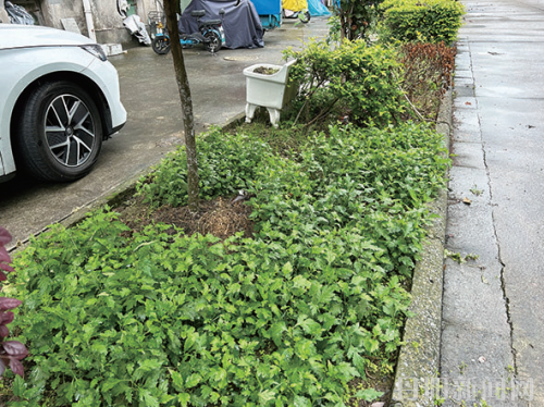 18b33e4d90813da545d4db7bda2fd5eb