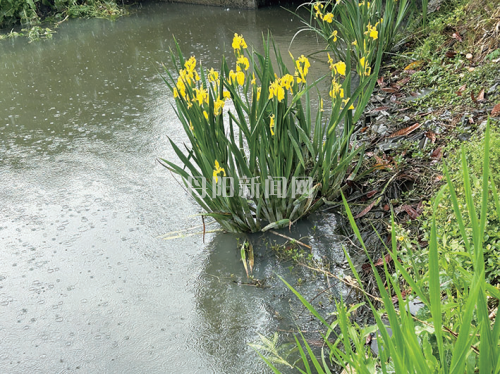 7d597df8b6a5eb4b12b4ec392d456e4f