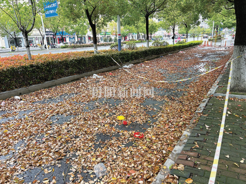 c9c0030448ed3a065f6270d4251d26f4