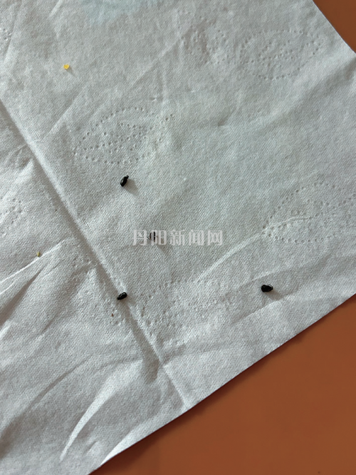 f3ff865769a0770636bfb8669216d19e