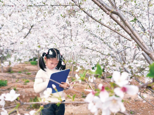 bc4b8eb986c4a162db0f1c64964f63fa