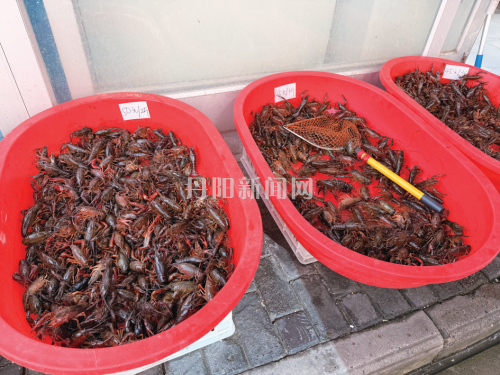 6ecb204c891740f033ad863acf1e6a62