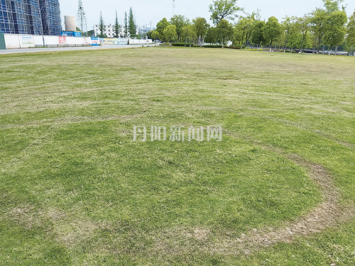 ba6a85e261a60ac2502770b2a395b978 (1)