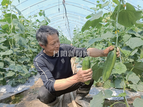 a1721037a17fb9ffb99a7270805b9e6e