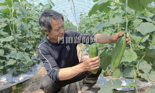 “五一”假期“菜篮子”供应有保障