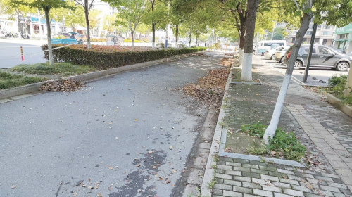 5c353599501d33e5e5a84e24905f8cf5