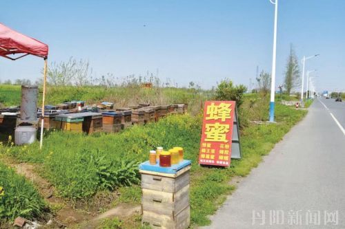 ca5d4e4ac11a9801e78f1af96f5f011c