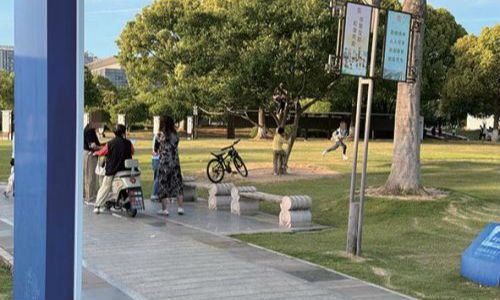 攀爬树木存隐患 文明游园需上心