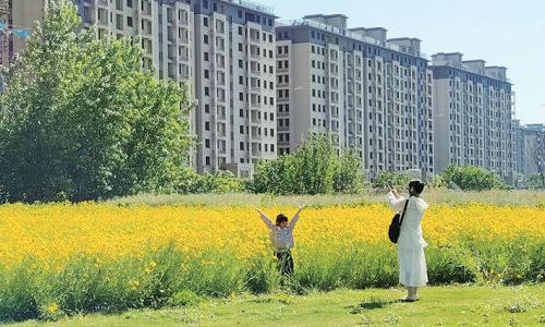 初夏金鸡菊盛放 街头花海引市民打卡