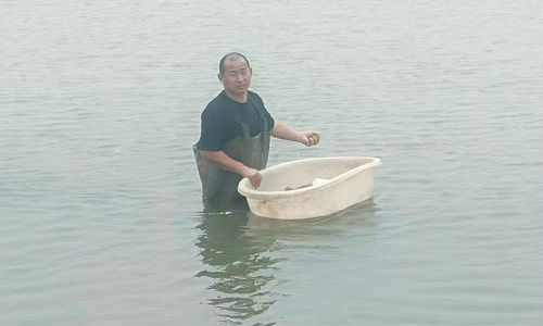 丰收河畔养虾人