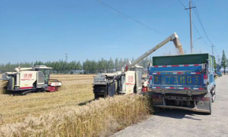 本地联合收割机 跑出麦收“新速度”