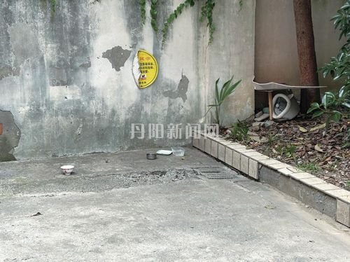 居民爱心投喂致流浪猫聚集小区