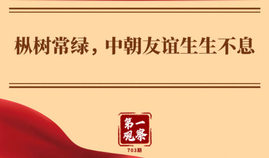 第一观察·瞬间｜枞树常绿，中朝友谊生生不息