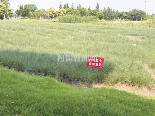 逛公园、去踏青，小心蜱虫叮咬！
